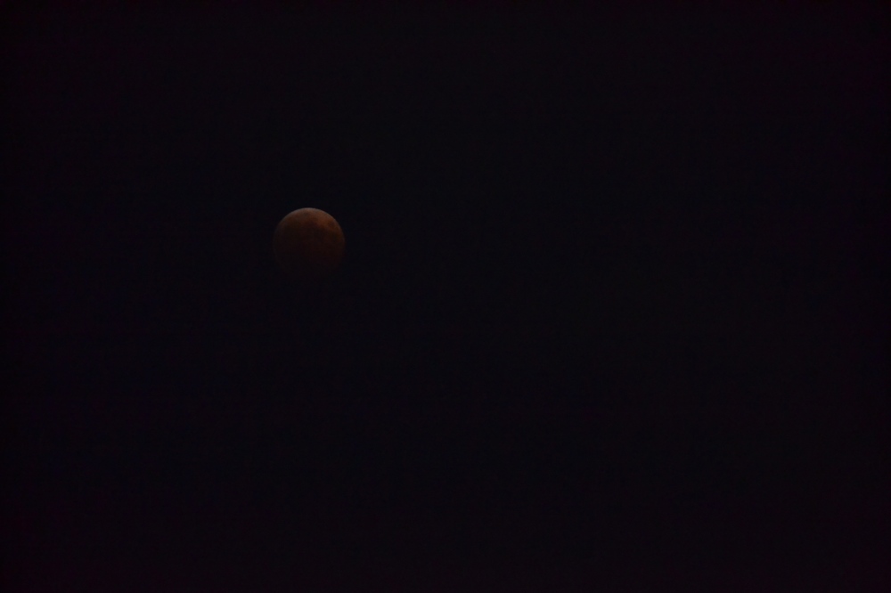 Kobatake helped me set my camera so it could take okay pictures of the eclipse