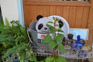 Panda plushie peeking out
